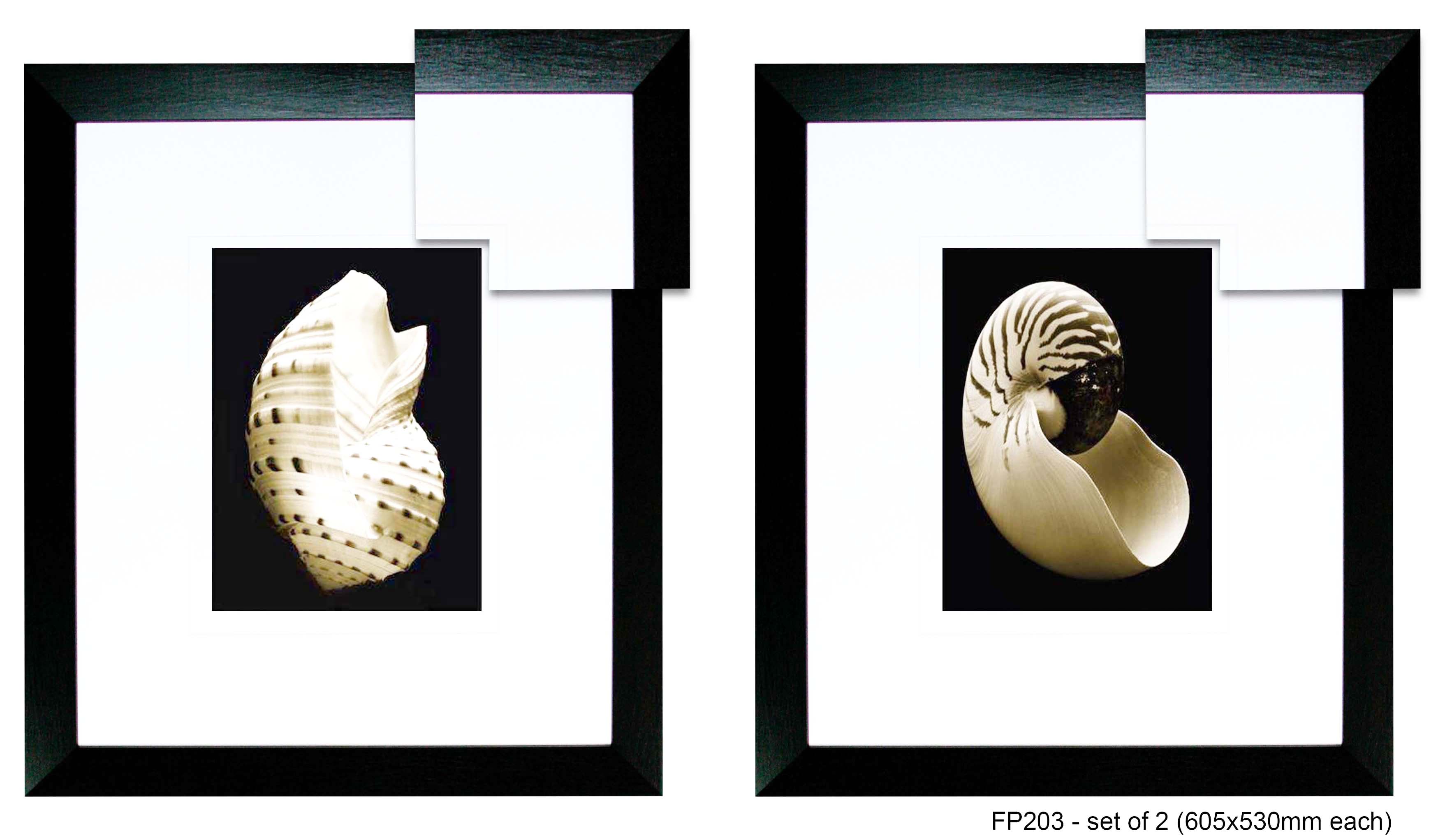 FP203 Wall décor art framed print set of 2 sea shells black frame